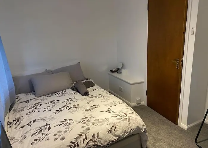Entire 1 Bedroom City House