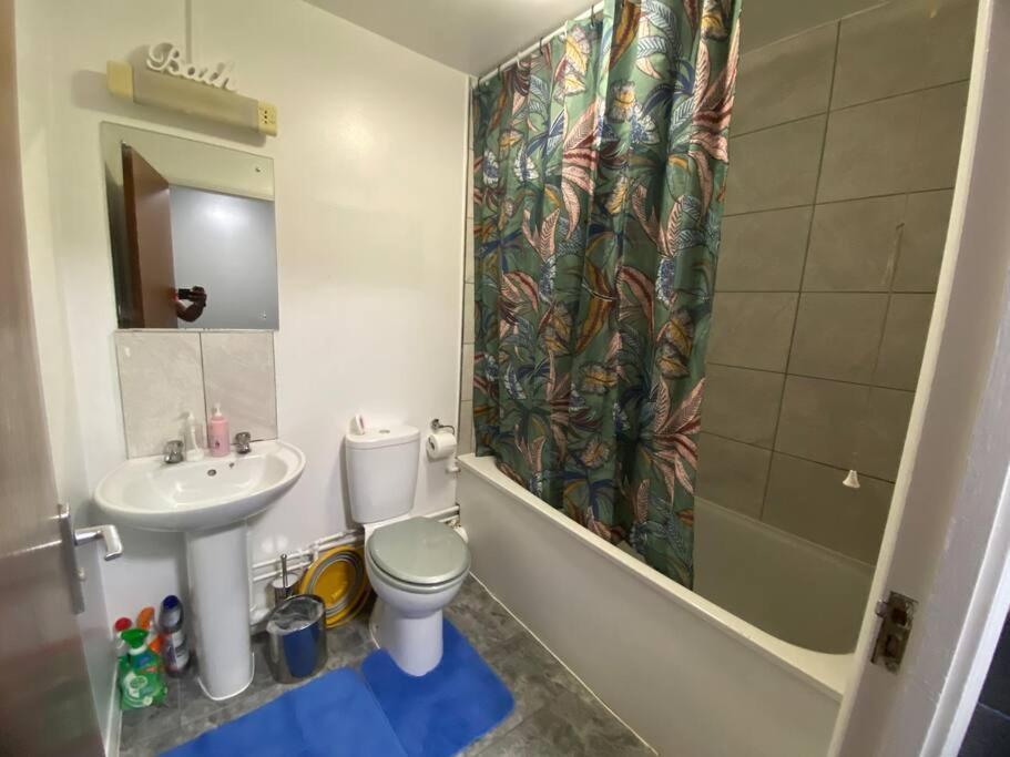 Entire 1 Bedroom House Londen